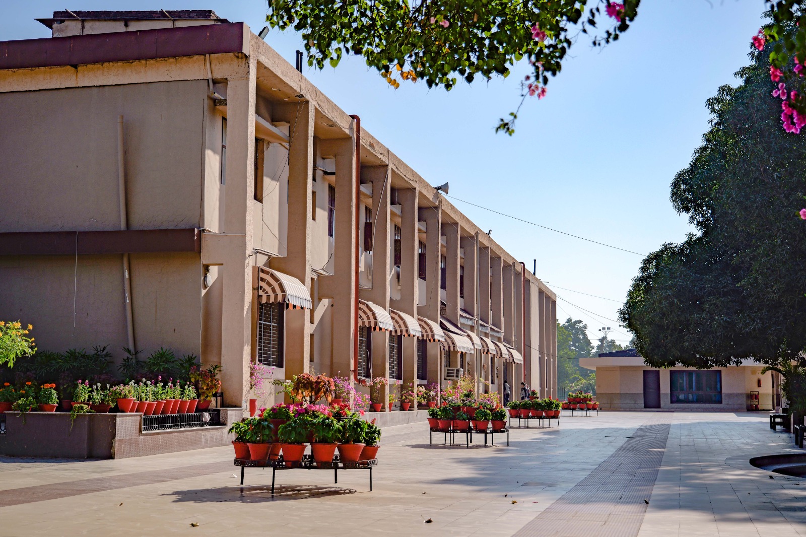 School Logo